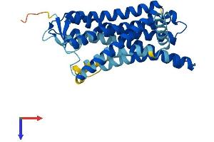 AlphaFold protein structure predicition of Human Recombinant OR2T8 Protein, UniprotID A6NH00
