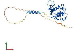 AlphaFold protein structure predicition of Human Recombinant SPACA3 Protein, UniprotID Q8IXA5