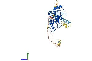 AlphaFold protein structure predicition of Human Recombinant UBE2J1 Protein, UniprotID Q9Y385