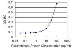Detection limit for recombinant GST tagged TOP3B is 1 ng/ml as a capture antibody. (TOP3B anticorps  (AA 1-862))