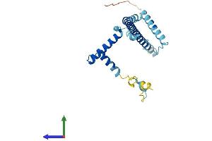 AlphaFold protein structure predicition of Mouse Recombinant Fam228b Protein, UniprotID Q497Q6