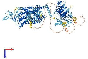 AlphaFold protein structure predicition of Mouse Recombinant Slc12a7 Protein, UniprotID Q9WVL3