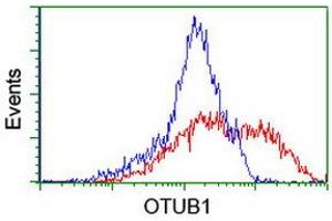 HEK293T cells transfected with either RC210648 overexpress plasmid (Red) or empty vector control plasmid (Blue) were immunostained by anti-OTUB1 antibody (ABIN2455953), and then analyzed by flow cytometry. (OTUB1 anticorps)