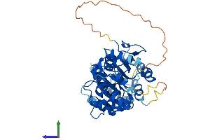 AlphaFold protein structure predicition of Human Recombinant TRDMT1 Protein, UniprotID O14717
