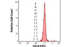 Separation of human CD19 positive lymphocytes (red-filled) from neutrophil granulocytes (black-dashed) in flow cytometry analysis (surface staining) of human peripheral whole blood stained using anti-human CD19 (4G7) FITC antibody (20 μL reagent / 100 μL of peripheral whole blood). (CD19 anticorps  (FITC))