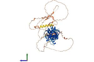 AlphaFold protein structure predicition of Mouse Recombinant Senp3 Protein, UniprotID Q9EP97