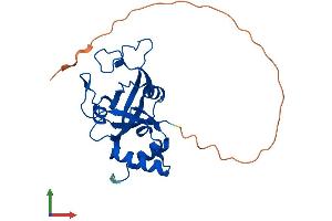 AlphaFold protein structure predicition of Human Recombinant THYN1 Protein, UniprotID Q9P016