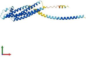 AlphaFold protein structure predicition of Human Recombinant STX1B Protein, UniprotID P61266