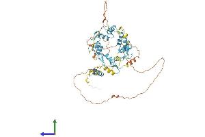 AlphaFold protein structure predicition of Mouse Recombinant Fiz1 Protein, UniprotID Q9WTJ4