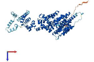AlphaFold protein structure predicition of Human Recombinant NELFB Protein, UniprotID Q8WX92