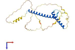 AlphaFold protein structure predicition of Mouse Recombinant Neurog1 Protein, UniprotID P70660