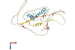 AlphaFold protein structure predicition of Mouse Recombinant Klf1 Protein, UniprotID P46099