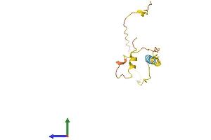 AlphaFold protein structure predicition of Human Recombinant MIR1-1HG Protein, UniprotID Q9H1L0