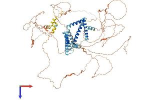 AlphaFold protein structure predicition of Mouse Recombinant Rtn1 Protein, UniprotID Q8K0T0