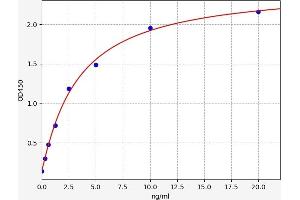 Typical standard curve (DMBT1 Kit ELISA)