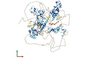 AlphaFold protein structure predicition of Human Recombinant NSD2 Protein, UniprotID O96028