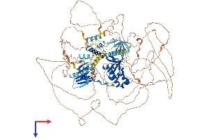 AlphaFold protein structure predicition of Human Recombinant ALG13 Protein, UniprotID Q9NP73