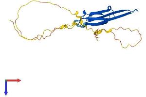AlphaFold protein structure predicition of Mouse Recombinant Hspb8 Protein, UniprotID Q9JK92