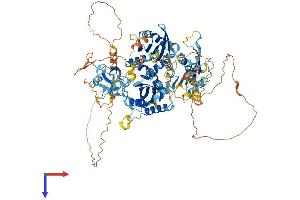 AlphaFold protein structure predicition of Human Recombinant INTU Protein, UniprotID Q9ULD6