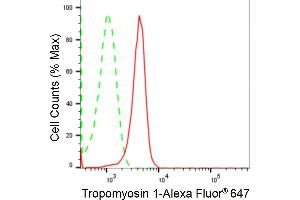 Flow cytometric analysis of Tropomyosin 1 expression in HepG2 cells using Tropomyosin 1 antibody (ABIN7800651), 1:2,000). (Recombinant Tropomyosin anticorps)