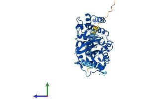 AlphaFold protein structure predicition of Human Recombinant GNAL Protein, UniprotID P38405