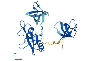 AlphaFold protein structure predicition of Mouse Recombinant Grb2 Protein, UniprotID Q60631