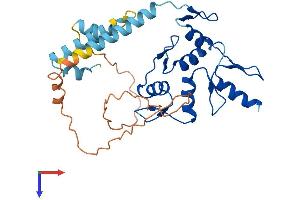 AlphaFold protein structure predicition of Human Recombinant ZNF75A Protein, UniprotID Q96N20