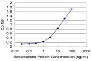Detection limit for recombinant GST tagged HD is approximately 0.
