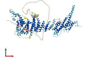 AlphaFold protein structure predicition of Mouse Recombinant Nup107 Protein, UniprotID Q8BH74