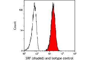 Flow Cytometry (FACS) image for anti-Serum Response Factor (SRF) (AA 25-75) antibody (ABIN7795720) (Recombinant SRF anticorps  (AA 25-75))