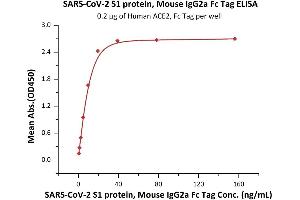 Immobilized Human ACE2, Fc Tag (ABIN6952465) at 2 μg/mL (100 μL/well) can bind SARS-CoV-2 S1 protein, Mouse IgG2a Fc Tag (ABIN6952625) with a linear range of 0. (SARS-CoV-2 Spike S1 Protein (mFc Tag))
