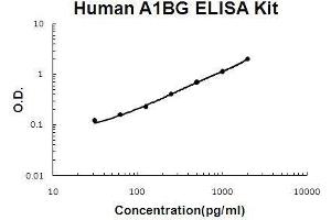 Human A1BG/alpha 1B-Glycoprotein PicoKine ELISA Kit standard curve (A1BG Kit ELISA)