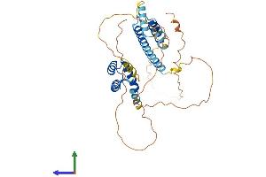 AlphaFold protein structure predicition of Mouse Recombinant Meis3 Protein, UniprotID P97368