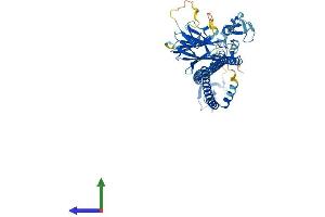 AlphaFold protein structure predicition of Mouse Recombinant Trim31 Protein, UniprotID Q8R0K2