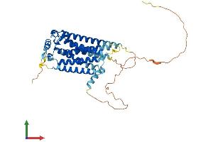 AlphaFold protein structure predicition of Human Recombinant S1PR5 Protein, UniprotID Q9H228
