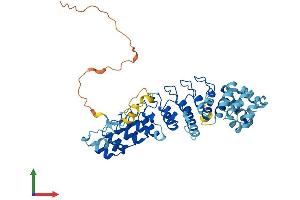 AlphaFold protein structure predicition of Human Recombinant ASB10 Protein, UniprotID Q8WXI3