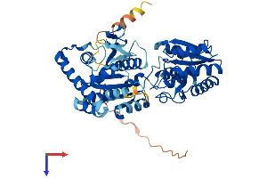 AlphaFold protein structure predicition of Mouse Recombinant Piga Protein, UniprotID Q64323