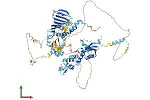 AlphaFold protein structure predicition of Mouse Recombinant Pms2 Protein, UniprotID P54279