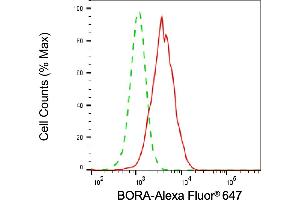 Flow cytometric analysis of BORA expression in HepG2 cells using BORA antibody (ABIN7799975), 1:2,000). (Recombinant BORA anticorps)