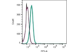 Cell surface detection of CD9 by indirect flow cytometry in live intact human  monocytic leukemia cell line: + goat-anti-rabbit-FITC. (CD9 anticorps  (Extracellular))
