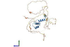 AlphaFold protein structure predicition of Human Recombinant SSBP2 Protein, UniprotID P81877