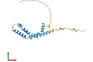 AlphaFold protein structure predicition of Mouse Recombinant Bod1 Protein, UniprotID Q5SQY2