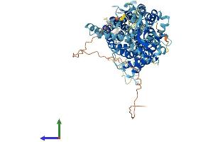 AlphaFold protein structure predicition of Human Recombinant CLCN3 Protein, UniprotID P51790