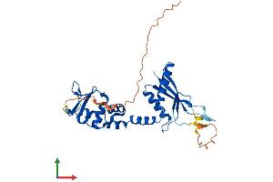 AlphaFold protein structure predicition of Mouse Recombinant Kctd7 Protein, UniprotID Q8BJK1