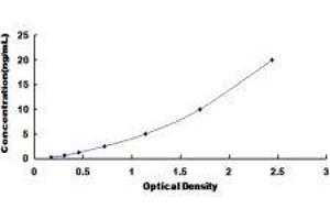 Diacylglycerol O-Acyltransferase 1 (DGAT1) ELISA Kit