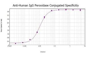 ELISA results of Rabbit anti-Human IgG Antibody Peroxidase Conjugated tested against purified Human IgG protein. (Lapin anti-Humain IgG (Heavy & Light Chain) Anticorps (HRP))