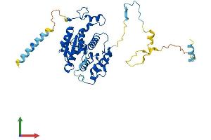AlphaFold protein structure predicition of Human Recombinant UBA5 Protein, UniprotID Q9GZZ9