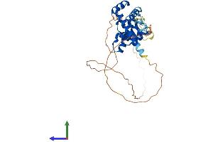 AlphaFold protein structure predicition of Mouse Recombinant Six3 Protein, UniprotID Q62233
