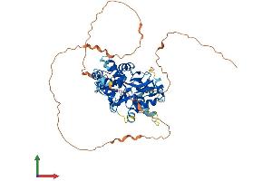 AlphaFold protein structure predicition of Mouse Recombinant Prkag3 Protein, UniprotID Q8BGM7