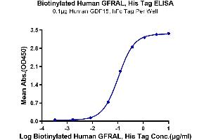 Immobilized Human GDF15, His Tag at 1 μg/mL (100 μL/well) on the plate.